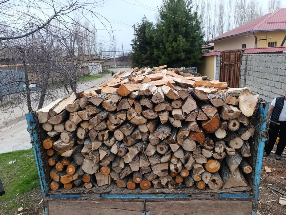 O’tin дрова сухой утин.