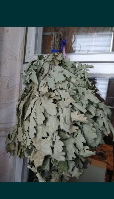 дубовые веники, для сауны , бани , большие. Плотные