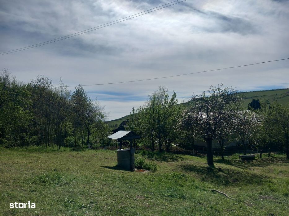 Teren spectaculos ,Porumbeni12.822 mp livadă,case și panoramă superba