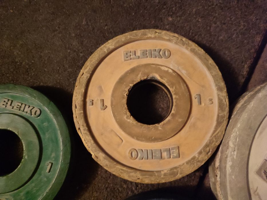 Лост състезателен Полски Елейко Дискове