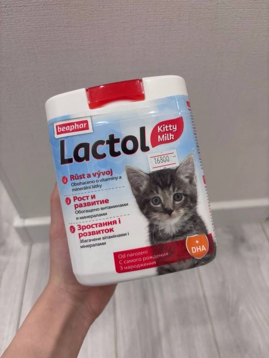 Смесь для кормления котят, молоко для котят Lactol Kitty Milk, beaphar