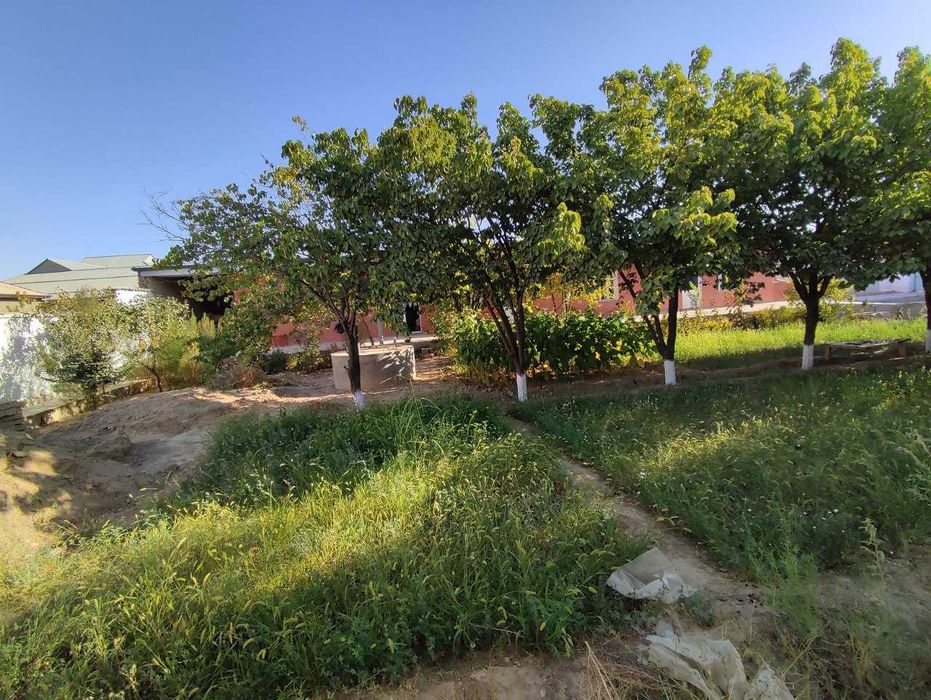 Срочно!!! Тайер участка сотилади