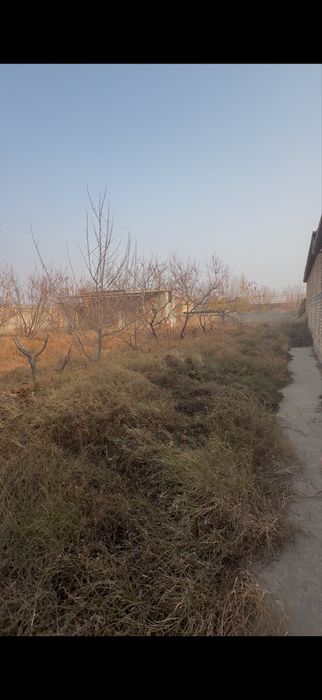 Назарбек тарновда 6 сотих ер