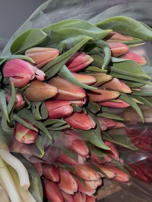 Тюльпаны оптом розницу игрушка в подарок от 15 шт