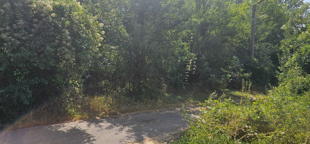 Продава се Парцел в с. Ковачевци, Област Перник - 750 кв.м за 11 €/кв.м - Снимка #4