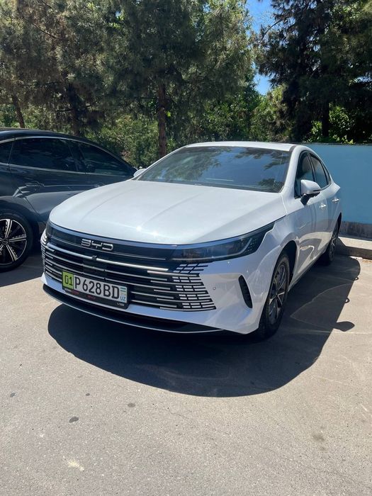 Arenda Byd chazor 2paditsa