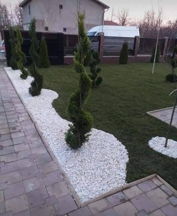 Mestecan alb ienupar leylandii photinia laur englezesc pret minim