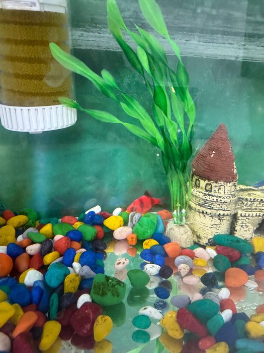 Продам аквариум