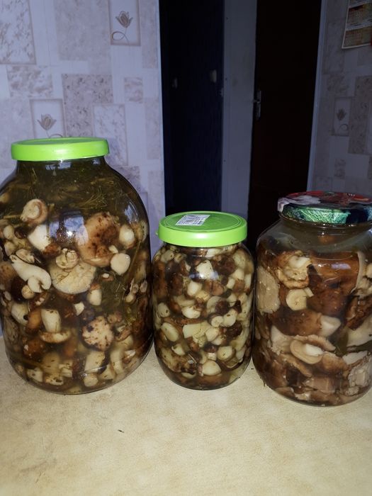 Продам грибы валуи и грузди !!!