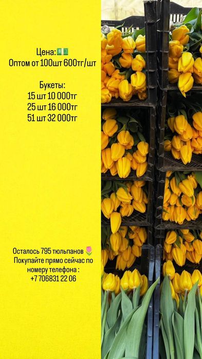 Тюльпаны Беларусь 45–50 см | опт и розница | Астана