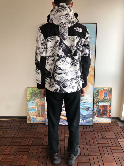 Geaca  schi The North Face