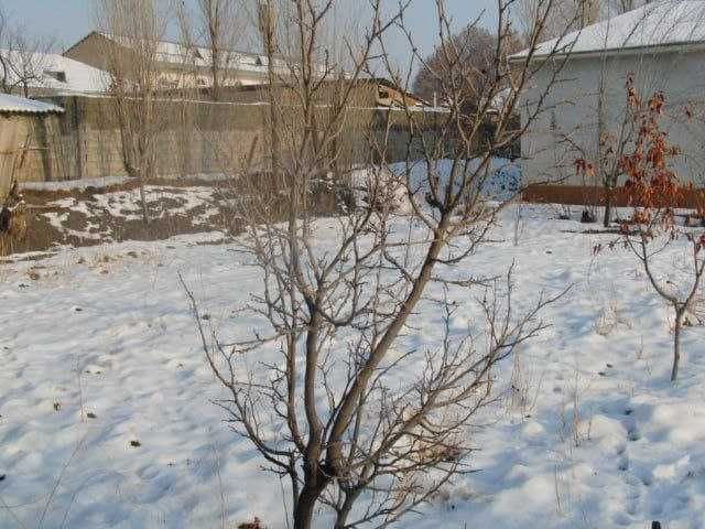 Жомбой шахрида зудлик билан участка сотилади!