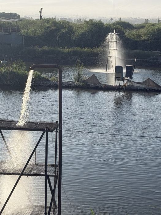 Готовый бизнес. Рыбхоз 8 гектар. Срочно (baliq ko'li)