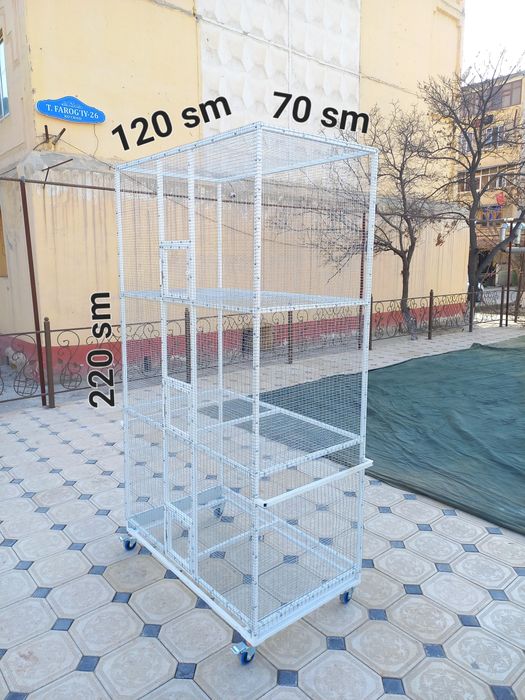 Kletka    Клетка