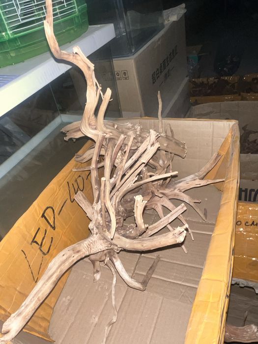 Коряги разного размера и вида