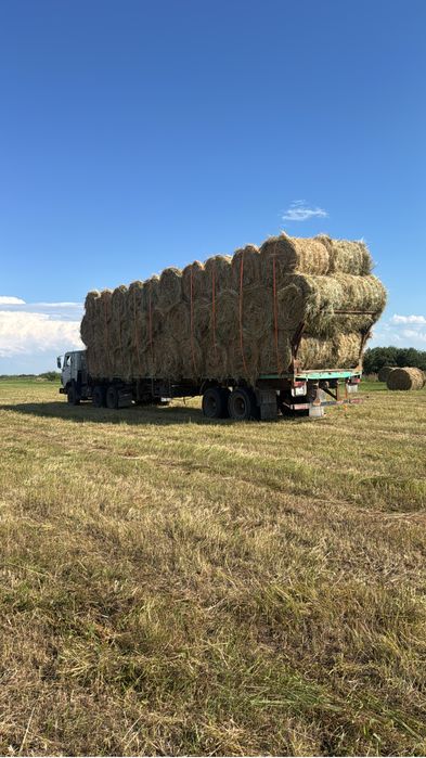 Продам сено луговое в рулонах