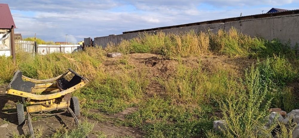 Продам навоз конский