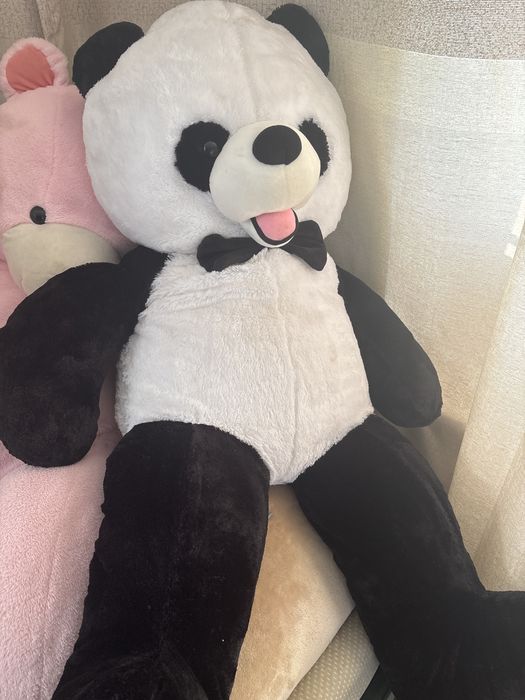 Продам медведей