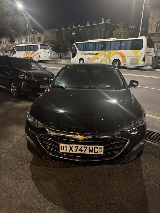 Malibu 2 primier 2020