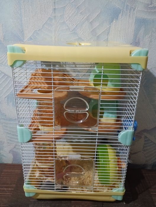 Продам 2х хомячков с клеткой.