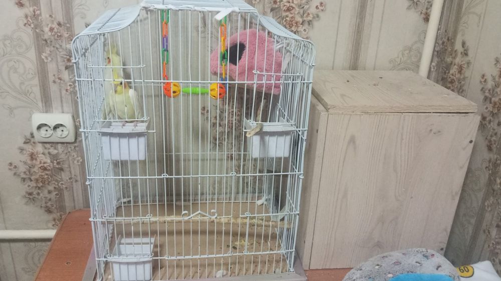 Карелла 2штук.клетка дом