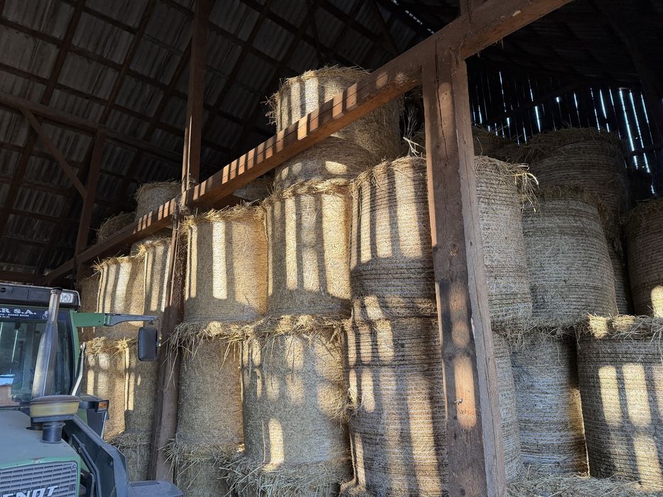 Baloti de ovaz+lucerna