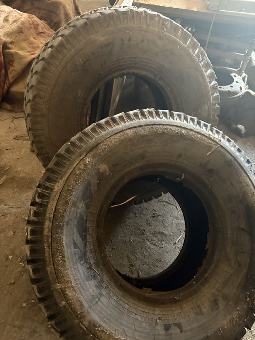 Шины от прицепа Птс 9-12