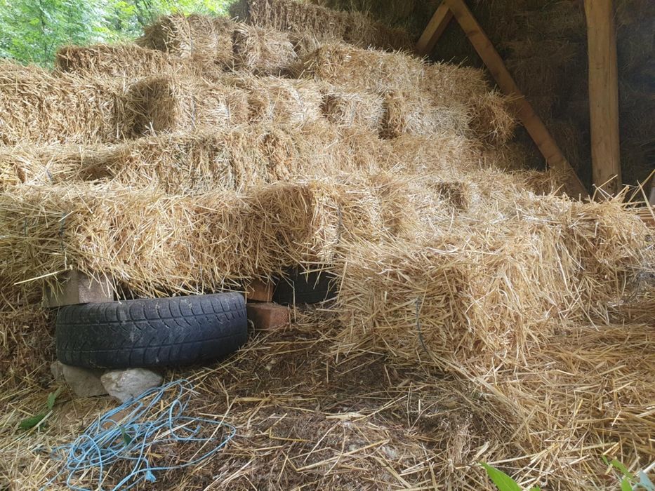 Vând baloți de fân și paie