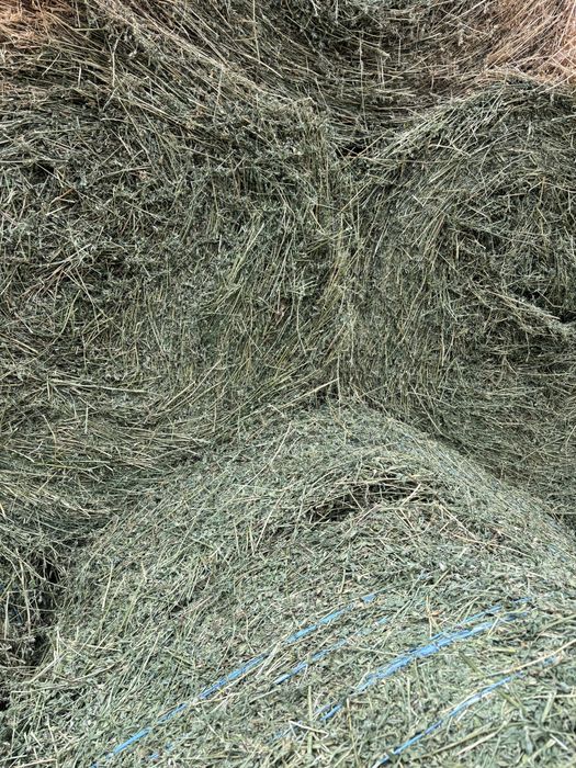 Baloți lucernă