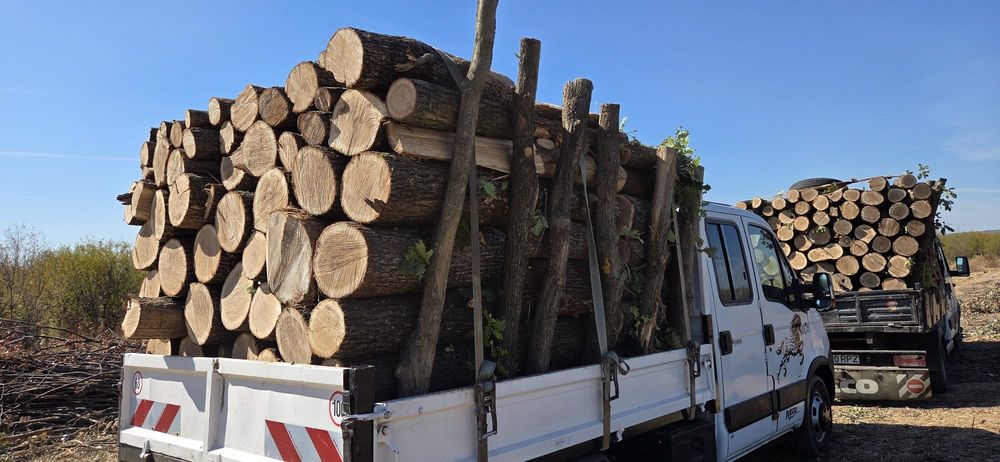 Vând lemne foc esențe tari transport gratuit