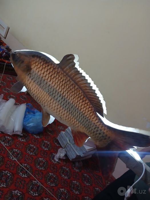Baliq uchun reklama