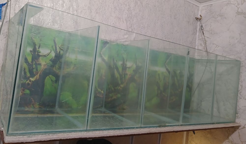 Аквариум секционный