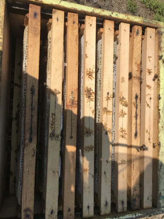 Продавам Манов мед!