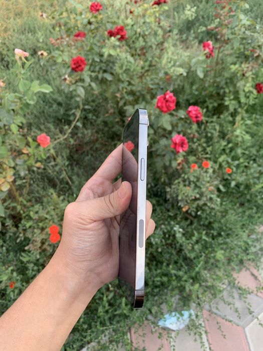 iPhone 12 Pro Max.