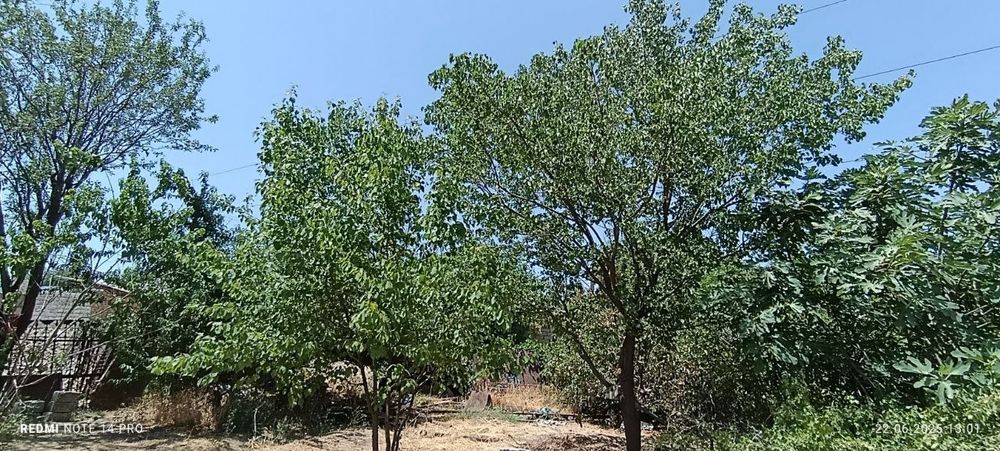 Chirchiqda hovli sotiladi