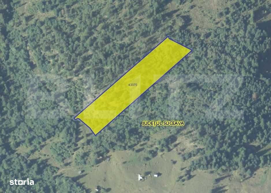 Teren 11.144 mp, padure, Campulug Moldovenesc