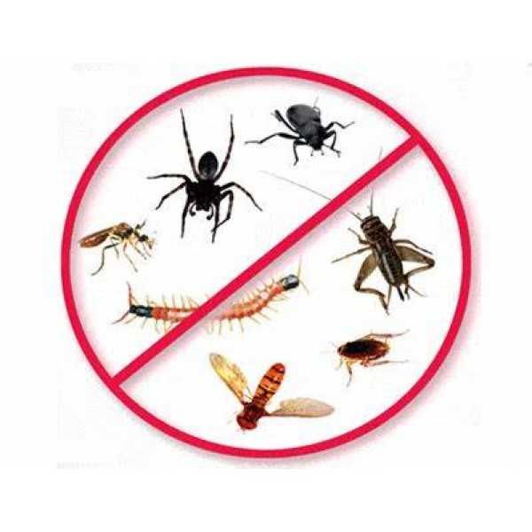 Insecticid tantari, muste, gandaci CY10 - 1 L