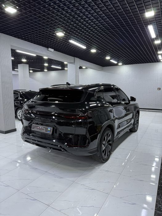 2024 yil 150 tali Champion