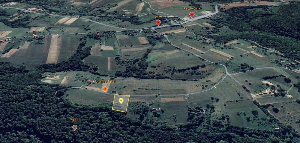 Teren de vanzare-SINTEU la drum asfaltat-peisaj deosebit langa padure -disponibile 2 parcele x 5000 mp
