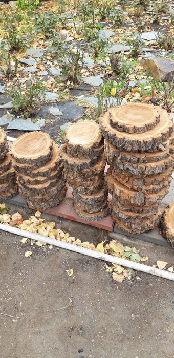 Декор спил дерево