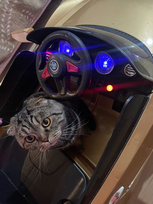 Детский электромобиль