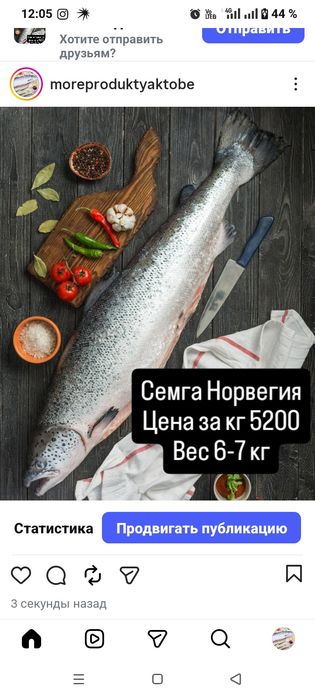Семга свежемороженая. Оптом и в розницу