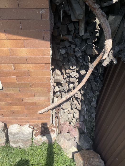 Дрова сухие для всего