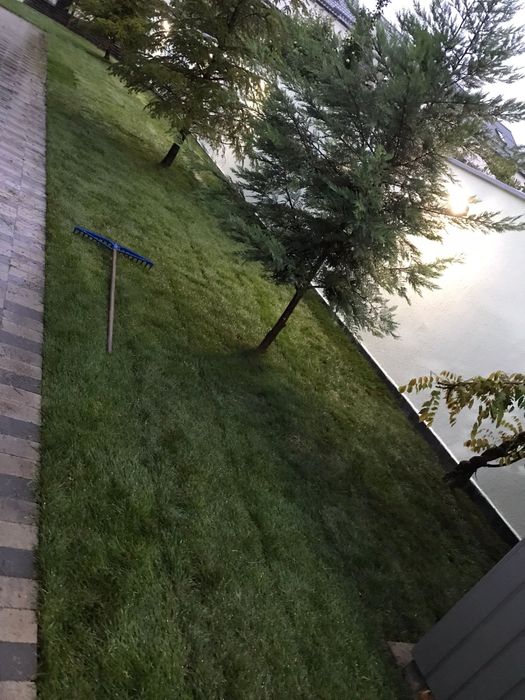 Rulouri gazon natural montaj rapid