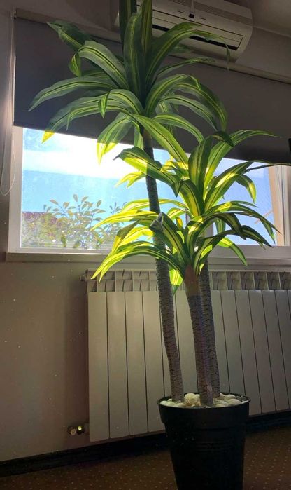 Plantă artificială decorativă Dracaena 1,75m