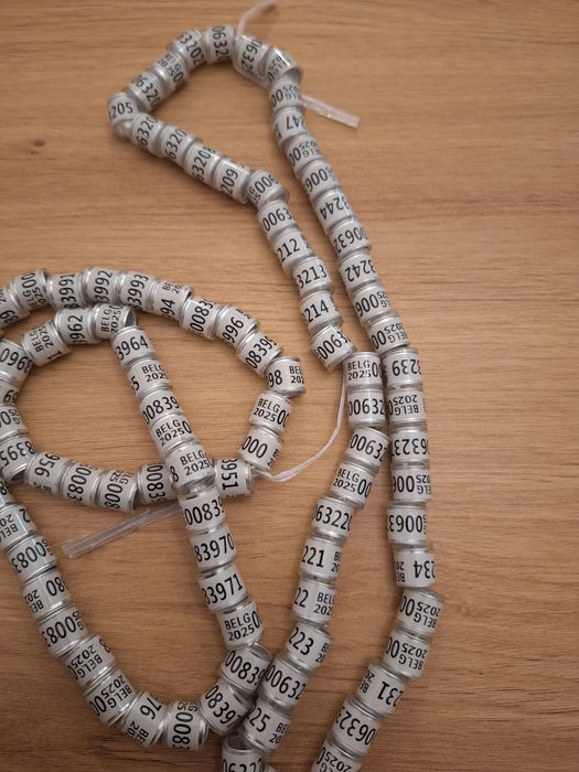 Inele porumbei 2025 8 mm