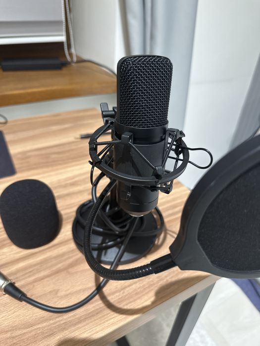 Микрофон Ritmix. Микрофон Ritmix rdm - 175