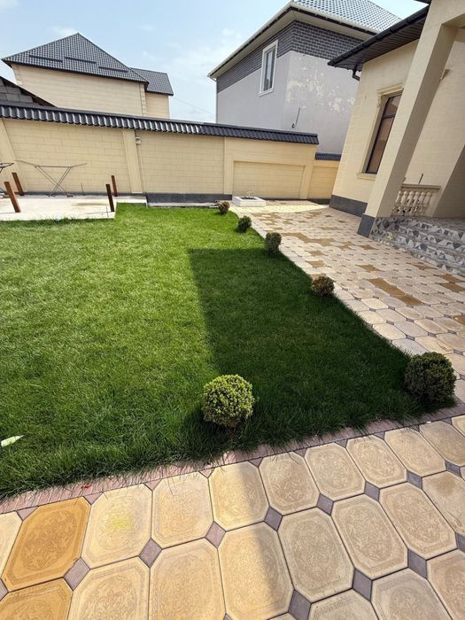 Газон,автополив,полив