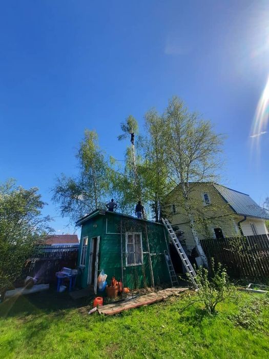 Дарахт кесиш хизмати