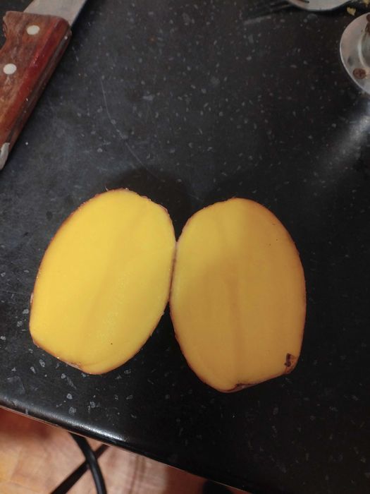 Семенной картофель